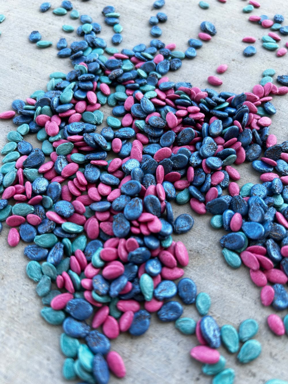 colorful seeds